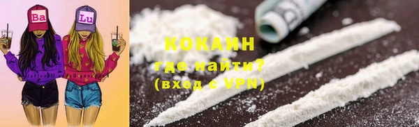 сатива Лихославль