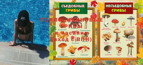 мет Ладушкин