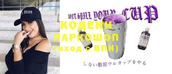 мет Ладушкин