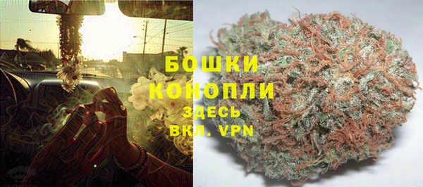 сатива Лихославль