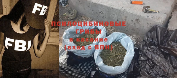 PSILOCYBIN Лиски
